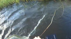 рыбалка сетями опять лещи