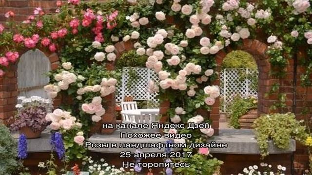 Кулинарные хитрости