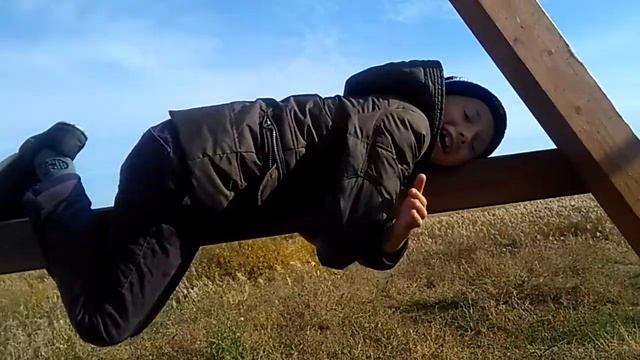 Не давайте коалам телефон! смотреть онлайн