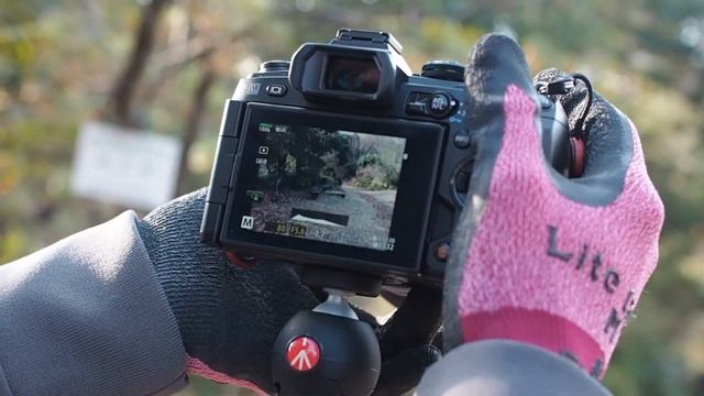 OMD EM1 Mk2 に　m.zuiko Digital Ed 12-100mm付けて　どれだけ寄れるか検証