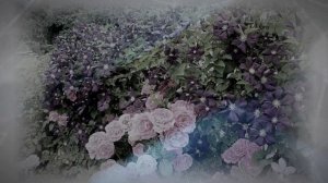 Лучшие сорта клематисов 3 группы обрезки для сада