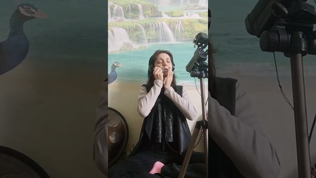 Варганный концерт на карантине часть 2. JewHarp (mouthharp) music online смотреть онлайн