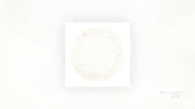 Тарелки фото смотреть онлайн