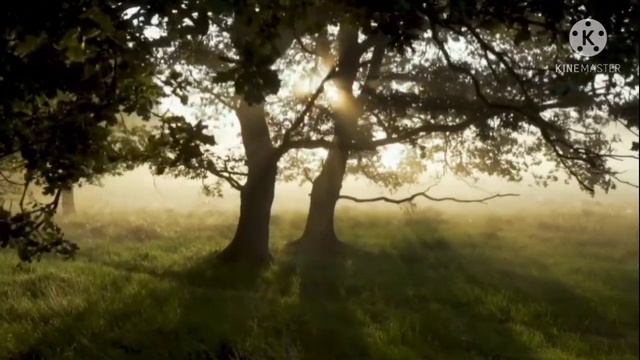 ОЛЬГА ЛЕОНТЬЕВНА СЫТНИК. #ВсяПравдаПроПаниОльгу #saveliyad #GRANDENIKO #АндрейСветланаСытники