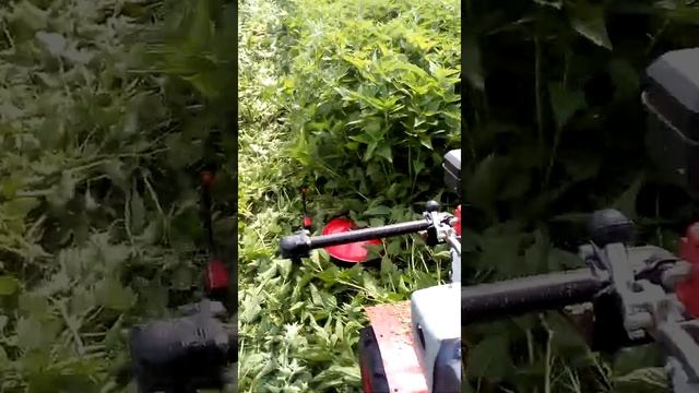 роторная косилка на мотоблоке угра в работе