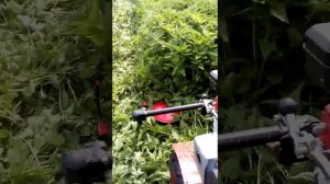 роторная косилка на мотоблоке угра в работе