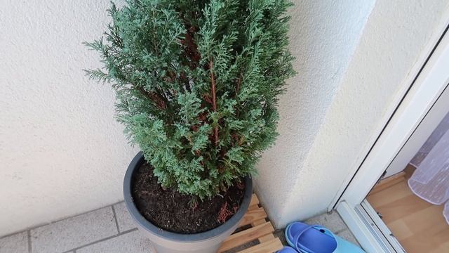 Почему заказываю вещи из КИТАЯ?"СУПЕРФУД" - Обман? смотреть онлайн