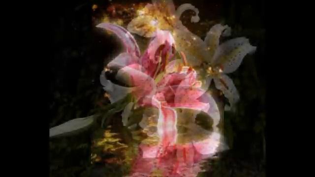 У дороги лилия цвела (the road Lily has bloomed) смотреть онлайн