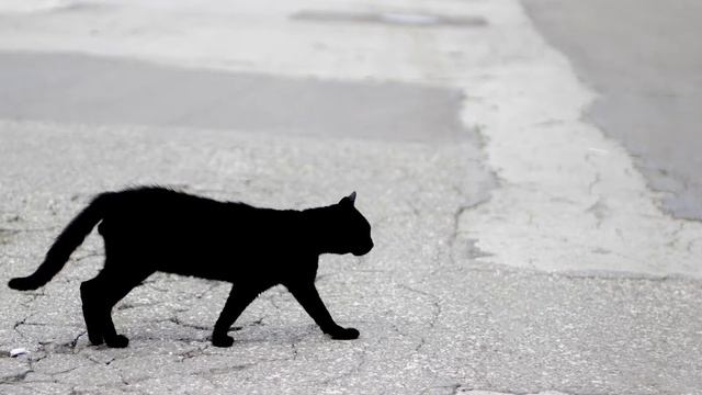 Упала икона - к чему это и что значит смотреть онлайн