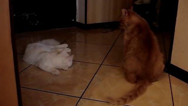 Маркиз и Лавруша......... смотреть онлайн