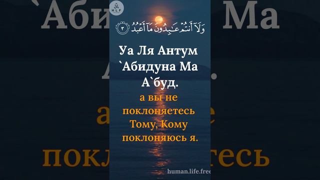 Сура Аль-Кафирун109/Surah Al-Kafirun109/سوره الکافرون смотреть онлайн