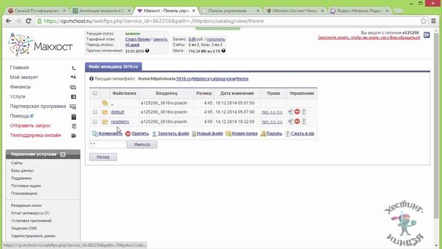 Как сделать свой магазин на OpenCart. Устанавливаем счетчик Яндекс.Метрика смотреть онлайн