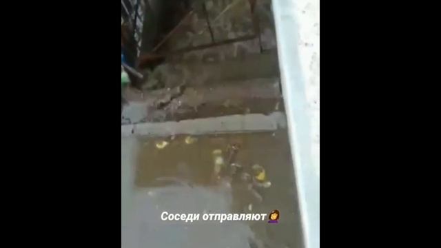 Потоп на улице Краснофлотская в Улан-Удэ смотреть онлайн
