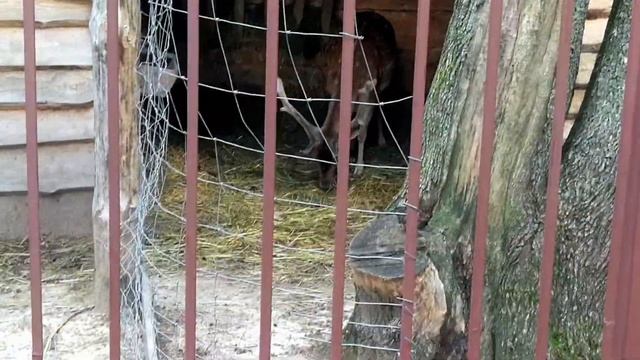 Музейный комплекс. Дукорcкий маёнтак. Перевернутый дом смотреть онлайн