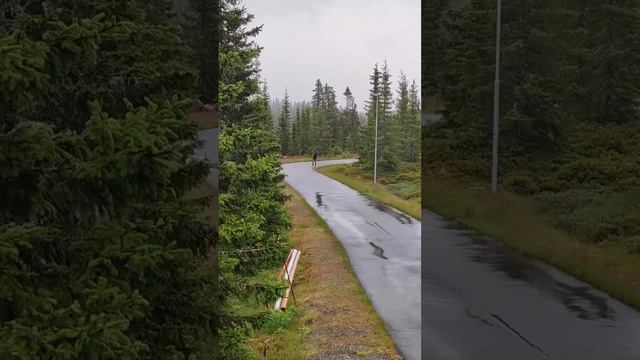 Федерико Пеллигрино. Подготовка к сезону смотреть онлайн