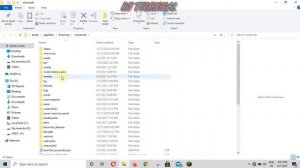 Custom Skin Loader offline for Minecraft Tlauncher 1 16 5 100% working skin changer