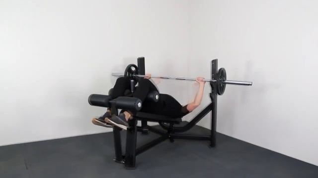 Подставка для жима лежа под отрицательным углом Protrain V8 106 смотреть онлайн