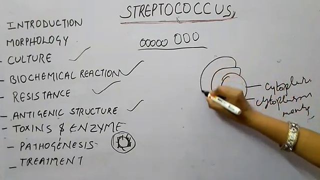 Microbiology, streptococcus in Hindi смотреть онлайн