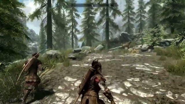 Стримчанский стримим как стримеры. почему бы и нет? Играем в скайрим первый раз смотреть онлайн