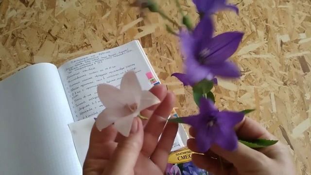 Опора многолетнику из корзины для мусора смотреть онлайн