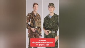 Отличие общевойсковой формы от формы для ВДВ 1969-2010. 69ка/Чешка/Афганка/Берёзка/Бутан/Флора