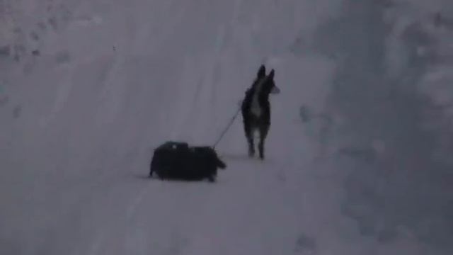 Зимние радости ( Старые фильмы) смотреть онлайн