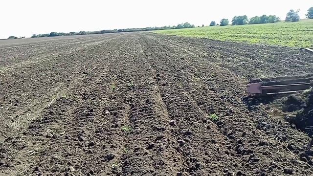 Трактор ЮМЗ-6 с культиватором КПС-4.2 и самодельным катком.