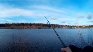 Ловля щуки на мандулу перед ледоставом. Zetrix Exilon 802M