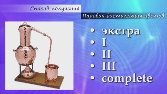 Эфирное масло иланг-иланга: подробный разбор свойств