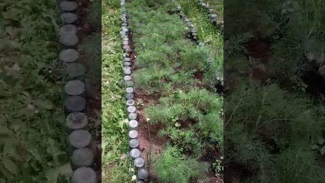 грядки из стеклянных бутылок навечно смотреть онлайн