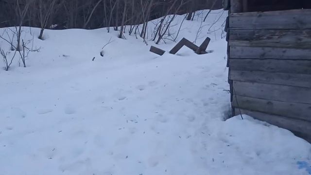 Заброшенная будка кпп плюс полигон (1) смотреть онлайн