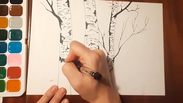 Как нарисовать легко березу акварельными красками. Мастер класс, рисуем березу осенью поэтапно. смотреть онлайн