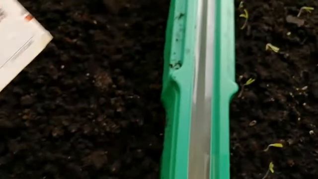 Оформление забора просто и красиво: кованые стрекозы и шары смотреть онлайн