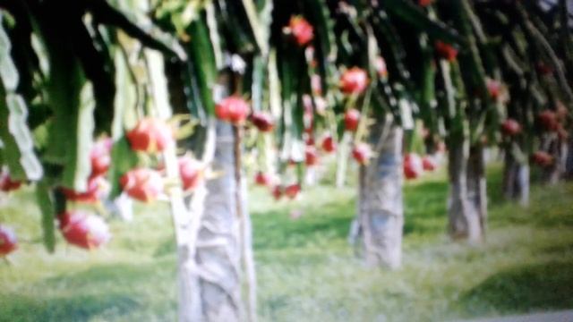 Строительный Компас