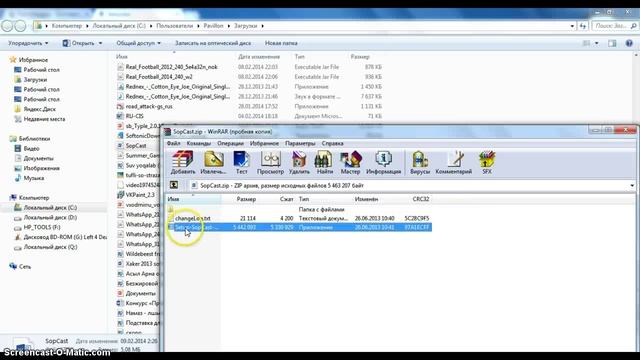 Сабыржан:Как смотреть футбол онлайн на SopCast? смотреть онлайн