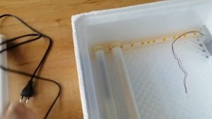 Обзор автоматического инкубатора на 36 яиц, цена 5060₽ для (большинства разновидностей яиц)