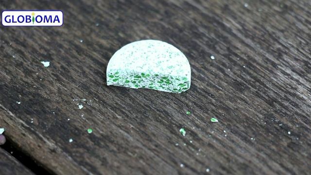 ГЛОБИОМА Биота Макс - Осенняя обработка почвы. Восстановление микрофлоры. Биофунгицид, СЗР смотреть онлайн