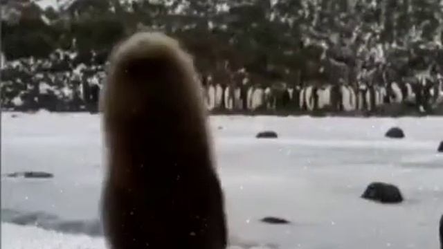 Руководство к Успеху