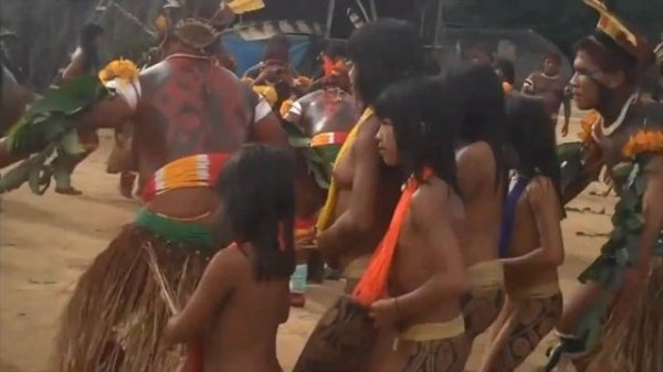 ?? AMAZON TRIBES OF BRAZIL AND THEIR CULTURAL HERITAGE.