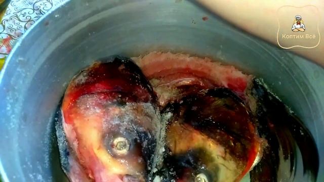 ?Копчение толстолобика холодным способом. Для длительной транспортировки в жару. смотреть онлайн