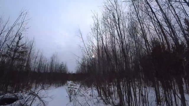 Рыбачу у острова возле села. Будни Олега. смотреть онлайн