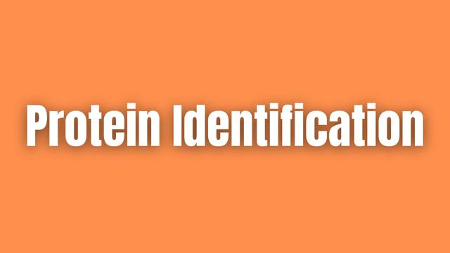 MALDI-TOF Mass Spectrometry Explained