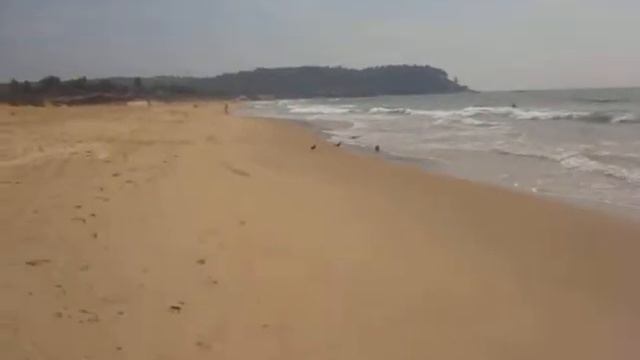 пляж Калангут, Гоа, Индия (Beach Calangute, Goa, India) смотреть онлайн