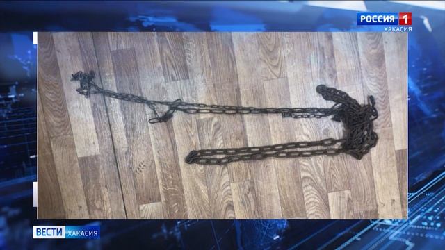 Жители Минусинска держали дочь на цепи смотреть онлайн