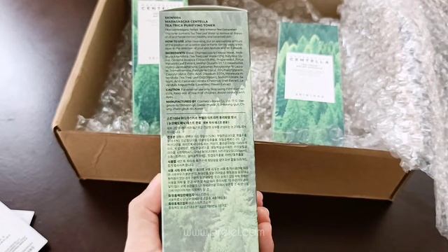 Skin1004 Tea Trica Skincare Line Unboxing & Try On