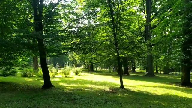 Стратегия и тактика. Планы мирового Правительства. смотреть онлайн