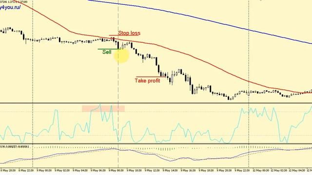ЗАРАБОТАТЬ НA ФОРЕКС Стратегия форекс «Белая лестница» смотреть онлайн