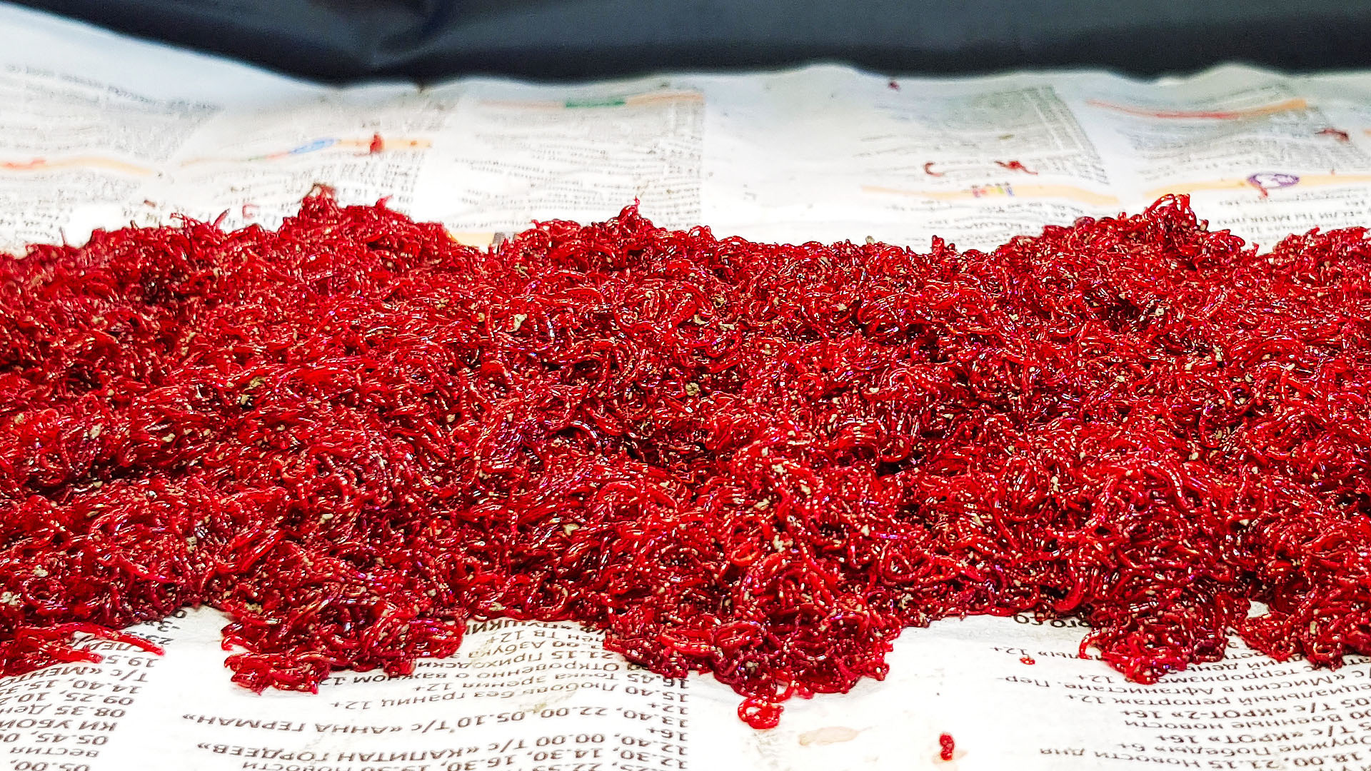 Лучший способ хранения мотыля дома. Как долго хранить мотыля в домашних условиях. смотреть онлайн