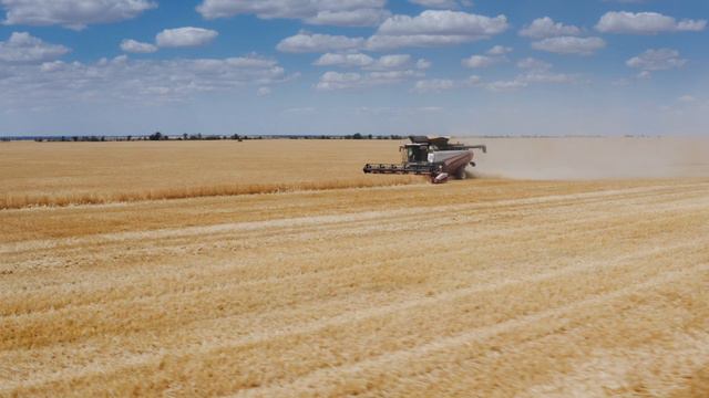 Отзыв на TORUM 785