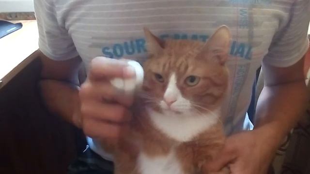 Обращение к капитану